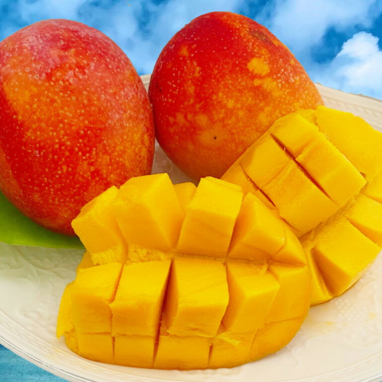 【ふるさと納税】【 先行予約 2026年 発送 】 お手頃 「沖縄 アップルマンゴー 」 2kg 沖縄県産 マンゴー アーウィンマンゴー 2キロ 国産 完熟マンゴー 果物 南国 くだもの フルーツ 完熟 夏 旬 お取り寄せ 産地直送 農家直送 甘い 濃厚 糸満市 送料無料 サムネイル3