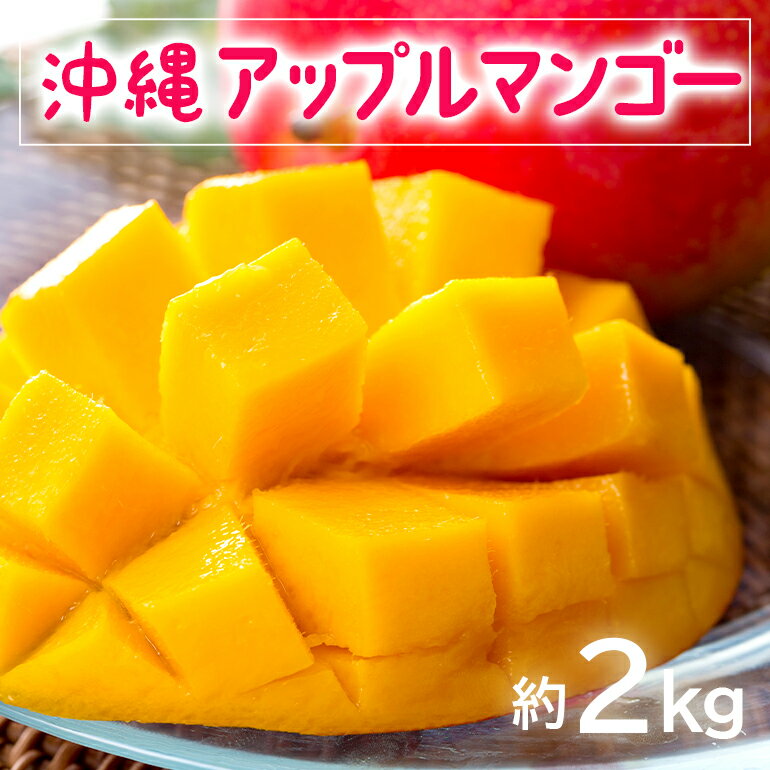 【 先行予約 2026年 発送 】 お手頃 「沖縄 アップルマンゴー 」 2kg 沖縄県産 マンゴー アーウィンマンゴー 2キロ 国産 完熟マンゴー 果物 南国 くだもの フルーツ 完熟 夏 旬 お取り寄せ 産地直送 農家直送 甘い 濃厚 糸満市 送料無料
