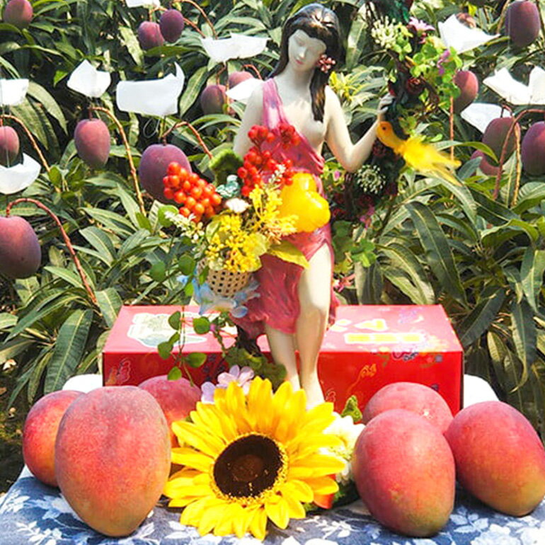 【ふるさと納税】【 先行予約 2026年 発送 】 伊敷さん家の美味しい 完熟マンゴー 1kg ( ご家庭用 ) 沖縄県産 マンゴー アップルマンゴー アーウィンマンゴー 1キロ 国産 果物 くだもの フルーツ 完熟 夏 旬 沖縄 お取り寄せ 産地直送 農家直送 甘い 濃厚 糸満市 送料無料 - 画像3