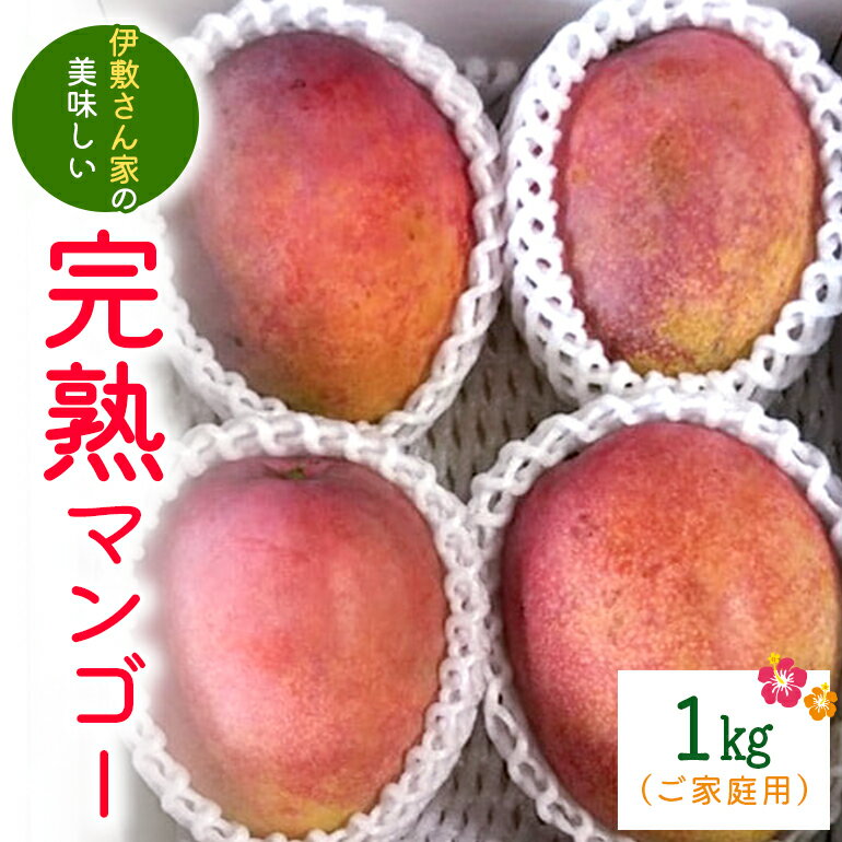 【 先行予約 2026年 発送 】 伊敷さん家の美味しい 完熟マンゴー 1kg ( ご家庭用 ) 沖縄県産 マンゴー アップルマンゴー アーウィンマンゴー 1キロ 国産 果物 くだもの フルーツ 完熟 夏 旬 沖縄 お取り寄せ 産地直送 農家直送 甘い 濃厚 糸満市 送料無料