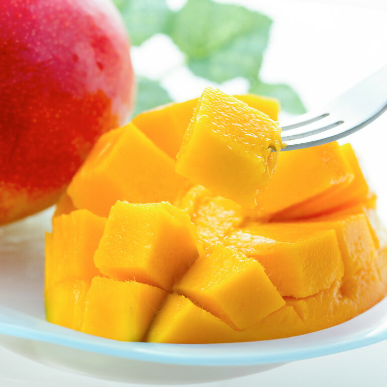 【ふるさと納税】【 先行予約 2026年 発送 】 令和5年度優秀賞受賞 でーじマンゴーの アップルマンゴー 2kg ( 秀品 ) マンゴー アップルマンゴー アーウィンマンゴー 2キロ フルーツ 果物 ギフト 沖縄県産 国産 完熟マンゴー くだもの 産地直送 農家直送 糸満市 送料無料 サムネイル3