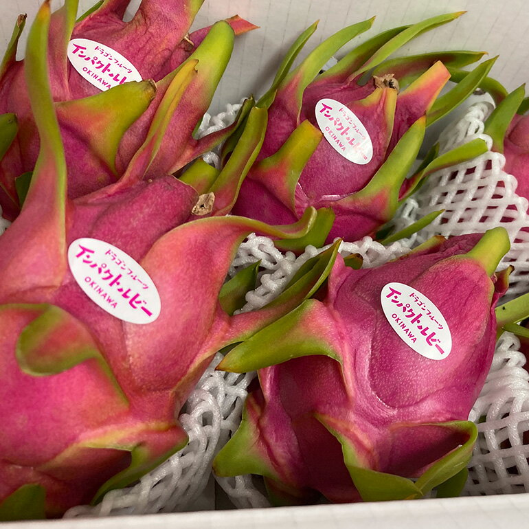 【ふるさと納税】【2026年発送】糸満市産 「ドラゴンフルーツ インパクトルビー 赤」1kg (3～4玉) 国産 産地直送 果実 果物 くだもの フルーツ 贈り物 贈答品 お取り寄せ トロピカルフルーツ 旬 あっさり 厳選 常温 ピタヤ 火龍果 南国 沖縄産 沖縄県 糸満市 サムネイル3