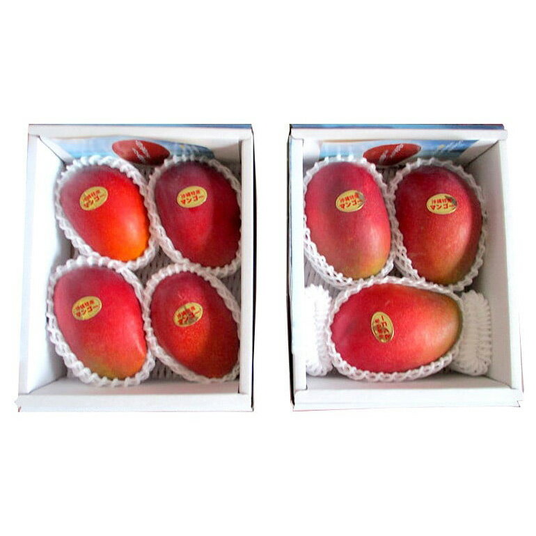 【ふるさと納税】【 先行予約 2026年 発送 】 高安マンゴー園 贈答用 F・Dマースマンゴー糸満 2kg (3〜6玉) 沖縄県産 マンゴー アップルマンゴー アーウィンマンゴー 完熟マンゴー 果物 くだもの フルーツ 沖縄 お取り寄せ ギフト 贈答品 産地直送 農家直送 糸満市 送料無料 サムネイル3