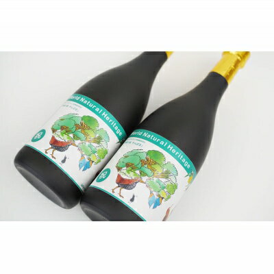 【ふるさと納税】世界自然遺産登録記念ボトル　25度（古酒）720ml　2本セット【やんばる酒造】 サムネイル2