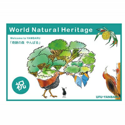 【ふるさと納税】世界自然遺産登録記念ボトル　25度（古酒）720ml　2本セット【やんばる酒造】 サムネイル3