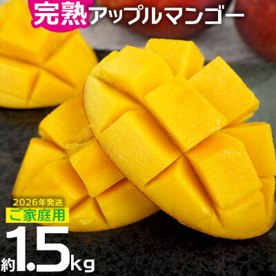 【2026年発送】ご家庭用でも極上に美味しい完熟アップルマンゴー約1.5kg 農園直送！ 家庭用 先行予約 沖縄 甘味 糖度 濃厚 美味しい お土産 おいしい ふるさと納税 とろける甘さ 香り アーウィン 果汁 送料無料 箱入り トロピカル 普段使い 自分用 ご褒美
