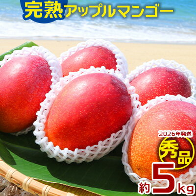 【2026年発送】大ボリューム完熟アップルマンゴー秀品・約5kg農園から直送！ 秀品 先行予約 沖縄 甘味 糖度 濃厚 美味しい お土産 おいしい ギフト とろける甘さ 香り アーウィン 果汁 高級 箱入り 化粧箱入り 見た目 きれい 綺麗