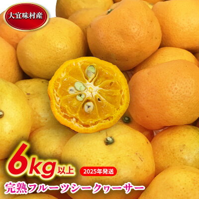 【2025年発送】完熟フルーツシークヮーサー　6kg 沖縄 おきなわ 大宜味村 果物 くだもの 果実 シークワーサー しーくわーさー 完熟 沖縄県産 産地直送 お取り寄せ 人気 食品 送料無料 国産 県産 ご当地 やんばる ノビレチン