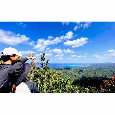 【ふるさと納税】沖縄県北部やんばる・大宜味村最高峰ネクマチヂ岳を登る【6名様】 サムネイル3