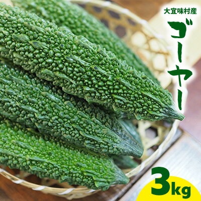 大宜味村産　ゴーヤー3kg以上 沖縄 大宜味村 ゴーヤー ごーや 栄養価 ご当地 人気 ふるさと納税 送料無料 常温 食べ物 野菜 やさい 食物繊維 沖縄料理 おかず アレンジ料理 食品 3キロ サラダ
