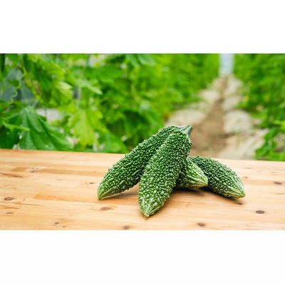 【ふるさと納税】【Farm CRESCERE】ゴーヤー2kg以上 沖縄 大宜味村 ゴーヤー ごーやー チャンプルー 野菜 ふるさと納税 送料無料 沖縄料理 おかず サラダ アレンジ料理 ご当地 郷土料理 ちゃんぷるー 常温 プレゼント 食べ物 2kg - 画像3