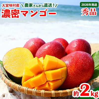 【2026年発送】濃密マンゴー《秀品・約2kg》大宜味村農家さんから直送 秀品 先行予約 沖縄 甘味 糖度 濃厚 おいしい お土産 まんごー アーウィン 果物 くだもの 果実 送料無料 ふるさと納税 2キロ トロピカル 化粧箱入り 食べ物 フルーツ