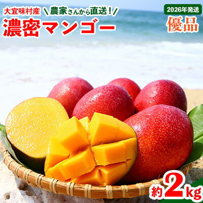【2026年発送】濃密マンゴー《優品・約2kg》大宜味村農家さんから直送！ 優品 先行予約 沖縄 甘味 糖度 濃厚 おいしい お土産 まんごー アーウィン 果物 くだもの 果実 送料無料 ふるさと納税 2キロ トロピカル 化粧箱入り 食べ物 フルーツ