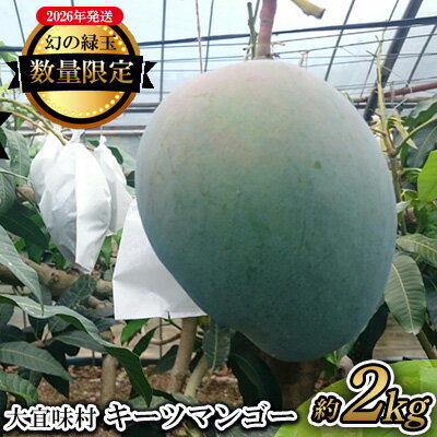 【2026年発送】大宜味村キーツマンゴー約2kg【数量限定】 数量限定 先行予約 沖縄 甘味 糖度 濃厚 おいしい お土産 まんごー キーツ 果物 くだもの 果実 送料無料 ふるさと納税 2キロ トロピカル 化粧箱入り 食べ物 フルーツ