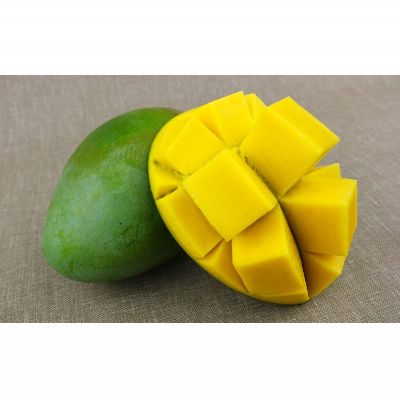 【ふるさと納税】【2026年発送】大宜味村キーツマンゴー約2kg【数量限定】 数量限定 先行予約 沖縄 甘味 糖度 濃厚 おいしい お土産 まんごー キーツ 果物 くだもの 果実 送料無料 ふるさと納税 2キロ トロピカル 化粧箱入り 食べ物 フルーツ サムネイル2