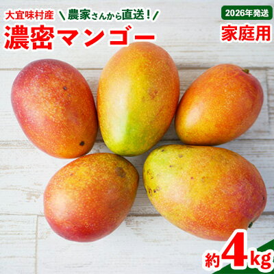 【2026年発送】ご家庭用！濃密マンゴー《家庭用・約4kg》農家さんより直送！ 家庭用 先行予約 沖縄 甘味 糖度 濃厚 おいしい お土産 まんごー アーウィン 果物 くだもの 果実 送料無料 ふるさと納税 4キロ トロピカル 箱入り 食べ物 フルーツ
