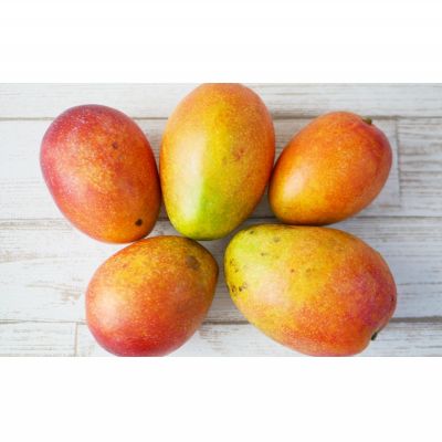 【ふるさと納税】【2026年発送】ご家庭用！濃密マンゴー《家庭用・約4kg》農家さんより直送！ 家庭用 先行予約 沖縄 甘味 糖度 濃厚 おいしい お土産 まんごー アーウィン 果物 くだもの 果実 送料無料 ふるさと納税 4キロ トロピカル 箱入り 食べ物 フルーツ サムネイル2