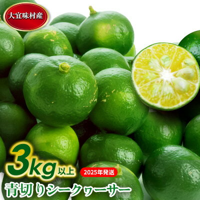 【2025年発送】大宜味村　青切りシークワーサー 3kg 沖縄 おきなわ 大宜味村 果物 くだもの 果実 シークワーサー しーくわーさー 青切り 沖縄県産 産地直送 お取り寄せ 人気 食品 送料無料 国産 県産 ご当地 やんばる ノビレチン