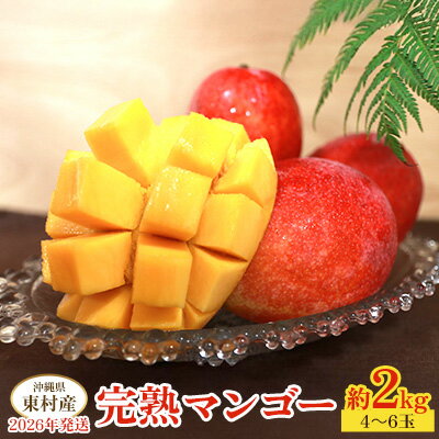 東村産完熟マンゴー　約2kg（4～6玉）2026年発送 甘い 芳醇 完熟 マンゴー トロピカル 農家直送 夏 デザート フルーツ アーウィン あまい おいしい ジューシー 南国 高級 まんごー 沖縄 国産マンゴー 沖縄県 東村