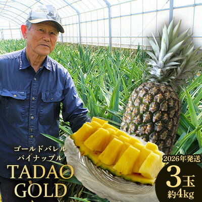 TADAO GOLD　3玉　約4kg（多冠芽含む）【ゴールドバレル】2026年発送 ゴールドバレル パインアップル タダオゴールド たまき ただお 逸品 パイン職人 最高級 国産パイン パイナップル パイン 匠 高級フルーツ 南国フルーツ 特別 希少 玉城忠男 農家直送