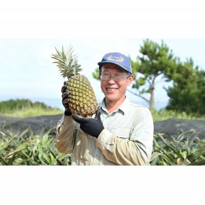 【ふるさと納税】ゴールドバレル【パインアップル】(2玉）約3.5kg　ふくしま農園の自信作！◆2026年発送◆ ゴールドバレル パイナップル 高品質 新鮮 ジューシー 希少 高い糖度 大玉 甘い トロピカル パイン 生産量日本一 高級フルーツ 南国フルーツ 国産フルーツ 完熟 福島 サムネイル3