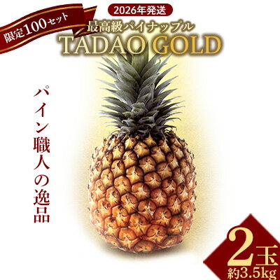 【贈答用：限定100セット】TADAO GOLD【ゴールドバレル】（2玉） ゴールドバレル タダオゴールド ただおごーるど 希少 最高級 沖縄県 東村 パインアップル 贈答用 贈り物 パイン 入手困難 高級フルーツ 玉城忠男 トロピカル 糖度 甘い パイナップル