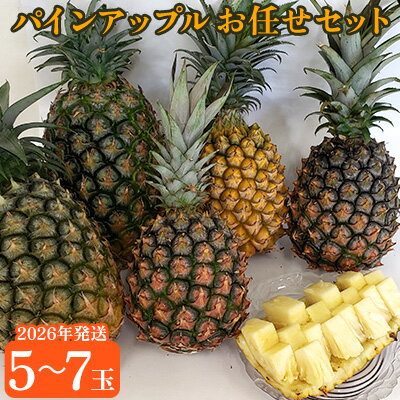東村産パインアップルお任せセット2（5～7玉）【2026年発送】 パイン パインアップル パイナップル ボゴール ゴールドバレル ピーチパイン サンドルチェ ホワイトココ セット おまかせ 生産量日本一 国産 国産パイン ジューシー 南国 トロピカル 予約
