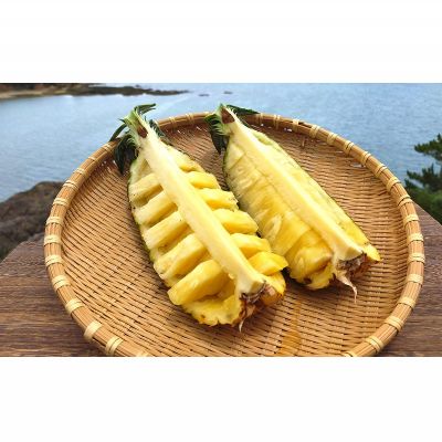 【ふるさと納税】東村産パインアップルお任せセット2（5～7玉）【2026年発送】 パイン パインアップル パイナップル ボゴール ゴールドバレル ピーチパイン サンドルチェ ホワイトココ セット おまかせ 生産量日本一 国産 国産パイン ジューシー 南国 トロピカル 予約 サムネイル3