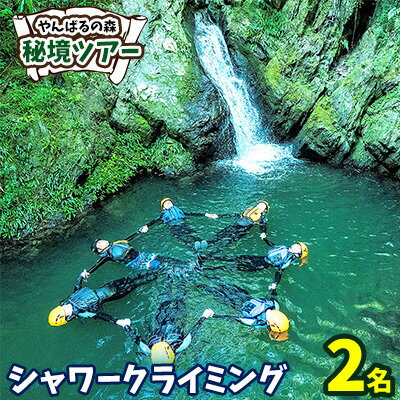 やんばるの森　秘境ツアー【シャワークライミング】2名様 やんばる アドベンチャー 秘境 探検 冒険 大自然 カヤック 沢のぼり 川遊び 滝つぼ遊び やんばる国立公園 亜熱帯 ジャングル ガイド付き 手軽に参加 非日常 特別