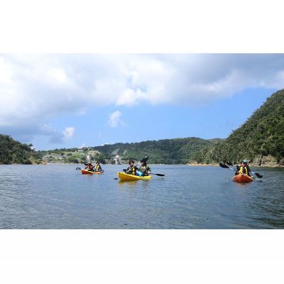 【ふるさと納税】やんばるの森　秘境ツアー【シャワークライミング】2名様 やんばる アドベンチャー 秘境 探検 冒険 大自然 カヤック 沢のぼり 川遊び 滝つぼ遊び やんばる国立公園 亜熱帯 ジャングル ガイド付き 手軽に参加 非日常 特別 - 画像2