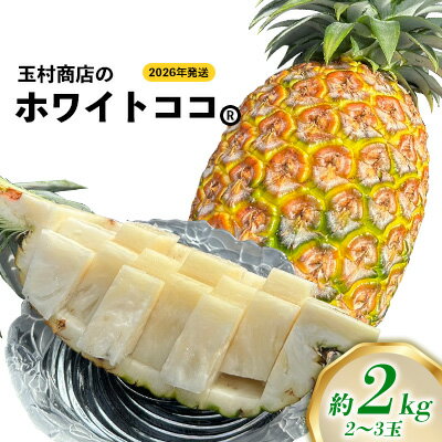 玉村商店のホワイトココ　2～3玉（約2kg） 2026年発送 沖縄県産 東村 パイナップル ジューシー 希少 高級フルーツ 南国フルーツ 国産フルーツ 農家直送 パイン 果物 贈り物 おすすめ お土産 人気 やんばる 大自然 南国気分 沖縄本島北部