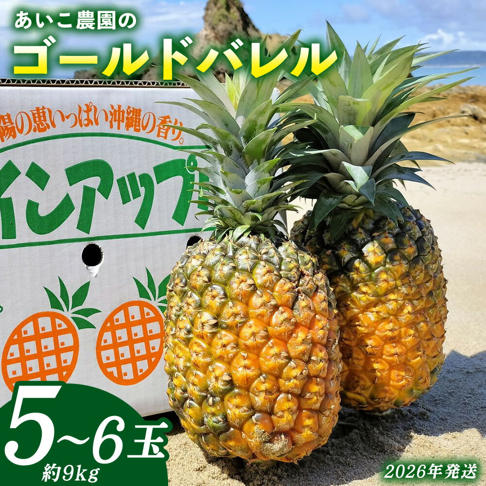あいこ農園のゴールドバレル　5～6玉（約9kg）多冠芽・無冠芽含む 2026年発送 沖縄県産 東村 パイナップル ジューシー 希少 高級フルーツ 南国フルーツ 国産フルーツ 農家直送 パイン 果物 贈り物 おすすめ お土産 人気 やんばる 大自然 南国気分