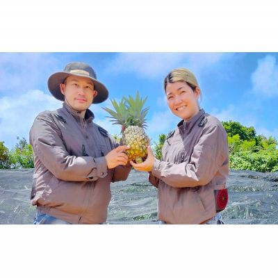 【ふるさと納税】あいこ農園のゴールドバレル　5～6玉（約9kg）多冠芽・無冠芽含む 2026年発送 沖縄県産 東村 パイナップル ジューシー 希少 高級フルーツ 南国フルーツ 国産フルーツ 農家直送 パイン 果物 贈り物 おすすめ お土産 人気 やんばる 大自然 南国気分 サムネイル2