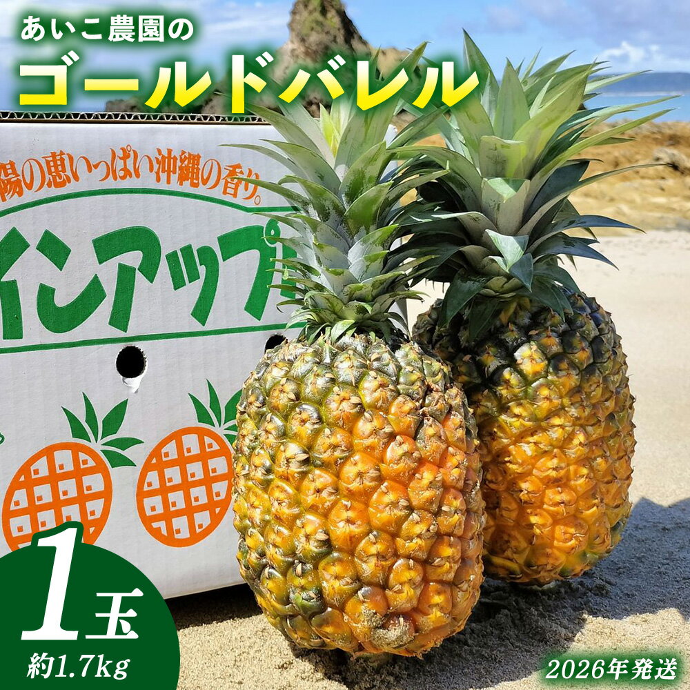 あいこ農園のゴールドバレル　1玉（約1.7kg）多冠芽・無冠芽含む 2026年発送 沖縄県産 東村 パイナップル ジューシー 希少 高級フルーツ 南国フルーツ 国産フルーツ 農家直送 パイン 果物 贈り物 おすすめ お土産 人気 やんばる 大自然 南国気分