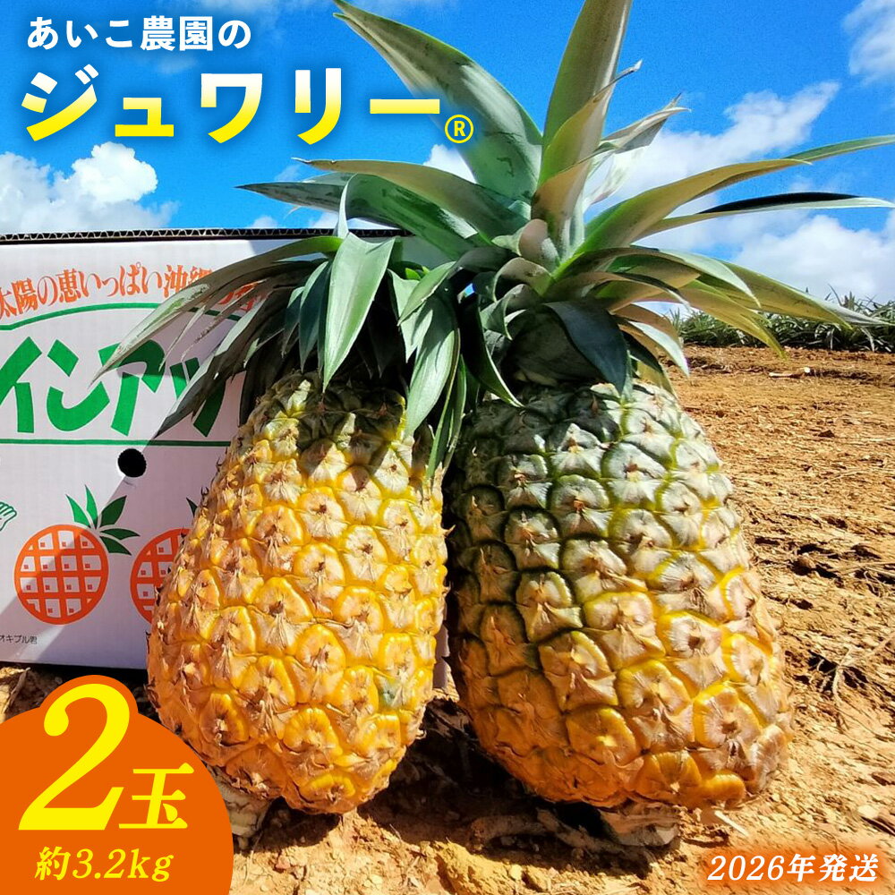 あいこ農園のジュワリー　2玉（約3.2kg） 2026年発送 沖縄県産 東村 パイナップル ジューシー 希少 高級フルーツ 南国フルーツ 国産フルーツ 農家直送 パイン 果物 贈り物 おすすめ お土産 人気 やんばる 大自然 南国気分 沖縄本島北部