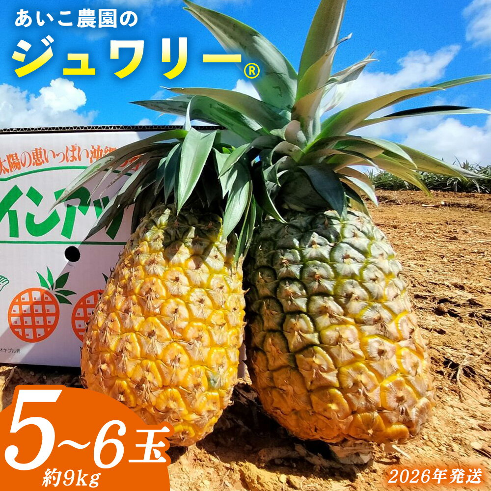 あいこ農園のジュワリー　5～6玉（約9kg） 2026年発送 沖縄県産 東村 パイナップル ジューシー 希少 高級フルーツ 南国フルーツ 国産フルーツ 農家直送 パイン 果物 贈り物 おすすめ お土産 人気 やんばる 大自然 南国気分 沖縄本島北部