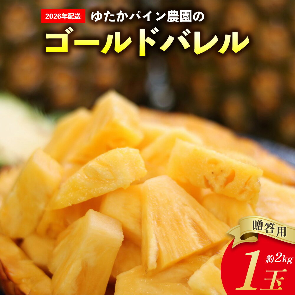 ゆたかパイン農園のゴールドバレル　1玉（贈答用）約2kg 2026年発送 沖縄県産 東村 パイナップル ジューシー 希少 高級フルーツ 南国フルーツ 国産フルーツ 農家直送 パイン 贈答用 贈り物 おすすめ お土産 人気 やんばる 大自然 南国気分 沖縄本島北部