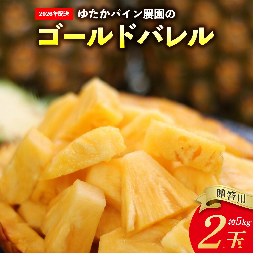 ゆたかパイン農園のゴールドバレル　2玉（贈答用）約5kg 2026年発送 沖縄県産 東村 パイナップル ジューシー 希少 高級フルーツ 南国フルーツ 国産フルーツ 農家直送 パイン 贈答用 贈り物 おすすめ お土産 人気 やんばる 大自然 南国気分 沖縄本島北部