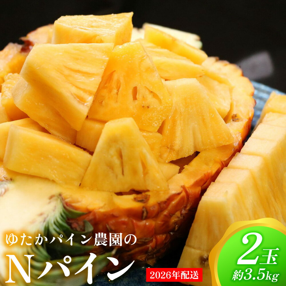 ゆたかパイン農園のNパイン　2玉（約3.5kg） 2026年発送 沖縄県産 東村 パイナップル ジューシー 希少 高級フルーツ 南国フルーツ 国産フルーツ 農家直送 パイン 果物 贈り物 おすすめ お土産 人気 やんばる 大自然 南国気分 沖縄本島北部