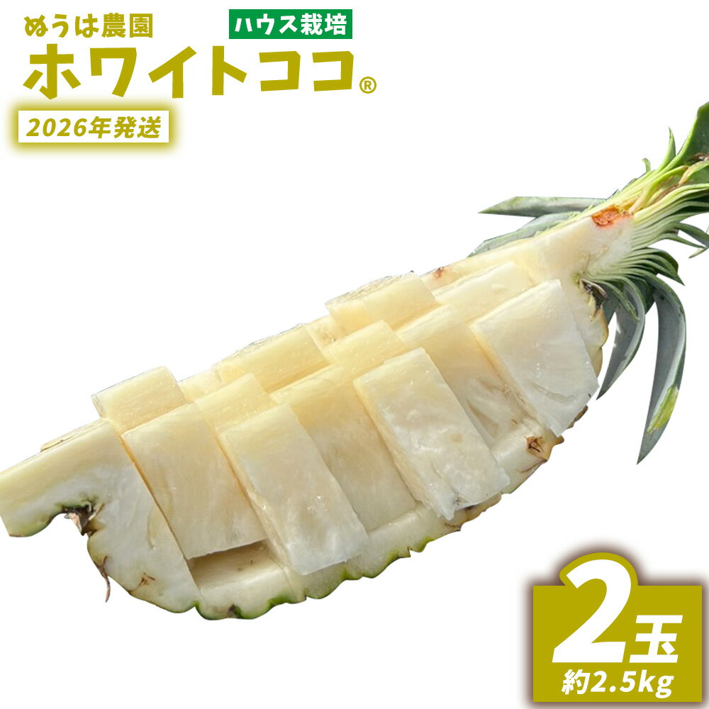 ハウス栽培　ホワイトココ　2玉（約2.5kg） 2026年発送 沖縄県産 東村 ゆがふパイン ジューシー 希少 高級フルーツ 南国フルーツ 国産フルーツ 農家直送 パイン 果物 贈り物 おすすめ お土産 人気 やんばる 大自然 南国気分 沖縄本島北部