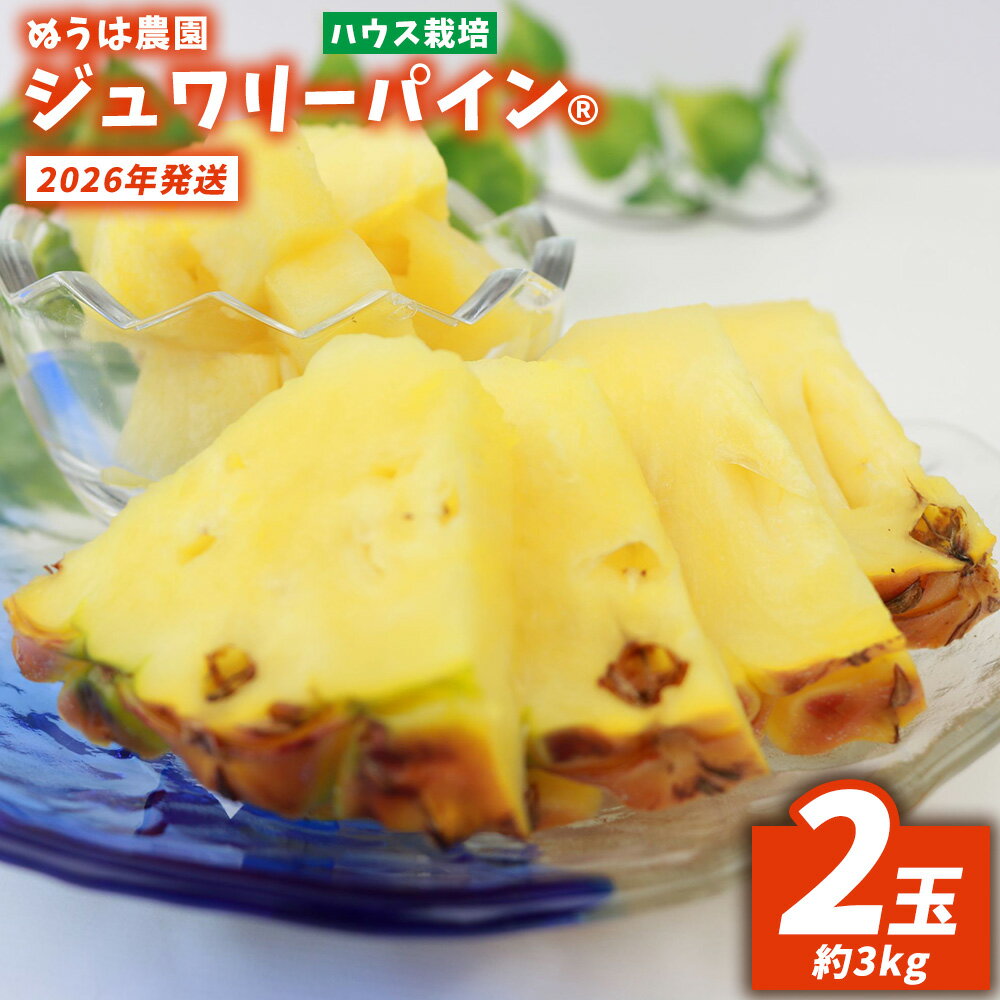 ハウス栽培　ジュワリーパイン　2玉（約3kg） 2026年発送 沖縄県産 東村 パイナップル ジューシー 希少 高級フルーツ 南国フルーツ 国産フルーツ 農家直送 パイン 果物 贈り物 おすすめ お土産 人気 やんばる 大自然 南国気分 沖縄本島北部