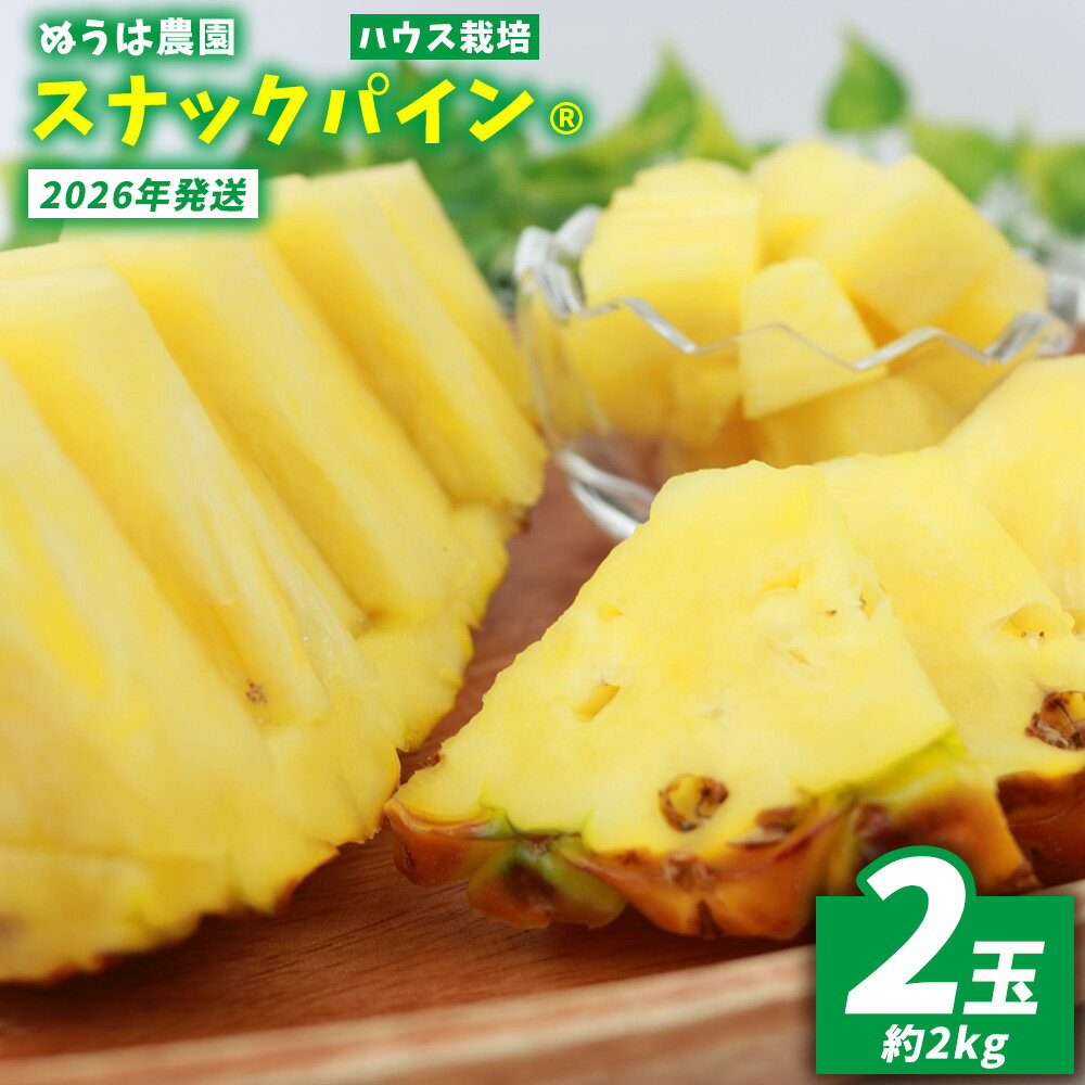 ハウス栽培　スナックパイン　2玉（約2kg） 2026年発送 沖縄県産 東村 パイナップル ジューシー 希少 高級フルーツ 南国フルーツ 国産フルーツ 農家直送 パイン 果物 贈り物 おすすめ お土産 人気 やんばる 大自然 南国気分 沖縄本島北部