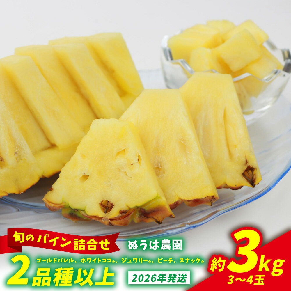 農家お任せ 旬のパイン詰合せ 2品種以上 3～4玉（約3kg） 2026年発送 沖縄県産 東村 パイナップル ジューシー 希少 高級フルーツ 南国フルーツ 国産フルーツ 農家直送 パイン 果物 贈り物 おすすめ お土産 人気 やんばる 大自然 南国気分 沖縄本島北部