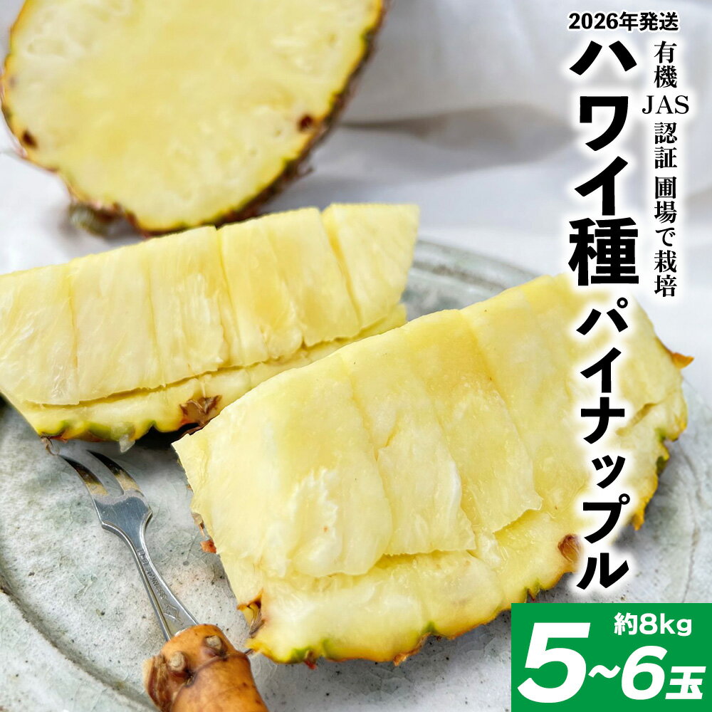有機JAS認証圃場で栽培　ハワイ種パイナップル　5～6玉（約8kg） 2026年発送 沖縄県産 東村 パイナップル ジューシー 希少 高級フルーツ 南国フルーツ 国産フルーツ 農家直送 パイン 果物 贈り物 おすすめ お土産 人気 やんばる 大自然 南国気分 沖