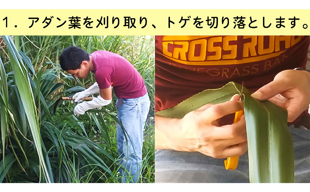 【ふるさと納税】アダン葉帽子（カンカン帽）男女兼用 サムネイル2