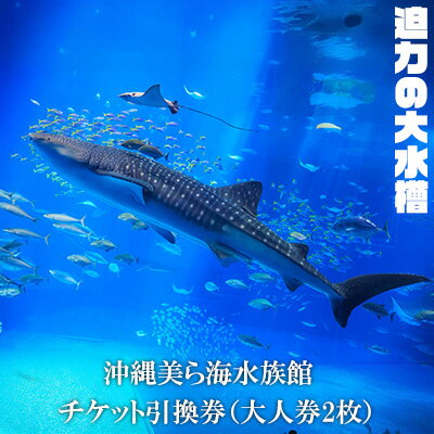 【迫力の大水槽】沖縄美ら海水族館　チケット引換券＜大人券2枚＞ 本部町 海洋博 水族館 カップル 家族 ファミリー 親子 ジンベイザメ マンタ 水槽 魚 海水 海 人気 オススメ ギフト プレゼント 贈答 贈り物 プロポーズ