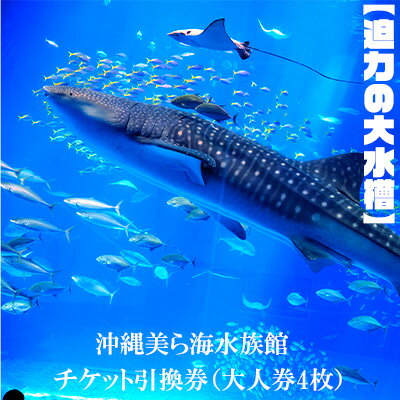 【迫力の大水槽】沖縄美ら海水族館　チケット引換券＜大人券4枚＞ 本部町 海洋博 水族館 カップル 家族 ファミリー 親子 ジンベイザメ マンタ 水槽 魚 海水 海 人気 オススメ ギフト プレゼント 贈答 贈り物 プロポーズ