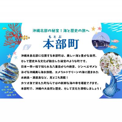 【ふるさと納税】HISふるさと納税クーポン（沖縄県本部町）30万円分 観光 宿泊 宿泊券 トラベル 旅行 クーポン リゾート ホテル 旅館 ファミリー ペア ダイビング 沖縄 本部町 ビーチ やんばる オリオン ゴルフ 美ら海 水族館 サムネイル2