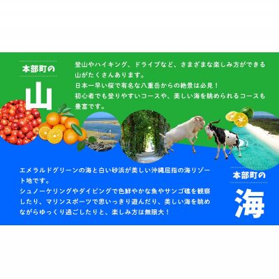 【ふるさと納税】HISふるさと納税クーポン（沖縄県本部町）30万円分 観光 宿泊 宿泊券 トラベル 旅行 クーポン リゾート ホテル 旅館 ファミリー ペア ダイビング 沖縄 本部町 ビーチ やんばる オリオン ゴルフ 美ら海 水族館 サムネイル3