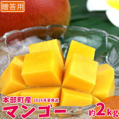 【2026年夏発送】もとぶ町産マンゴー（贈答用）約2kg詰め フルーツ 南国 くだもの おすすめ 果物 プレゼント 沖縄 人気 期間限定 お土産 おきなわ 冷蔵 数量限定 おみやげ 青果 夏 先行予約 ギフト デザート スイーツ